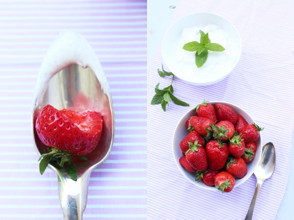Erdbeeren mit Quark tastesheriff