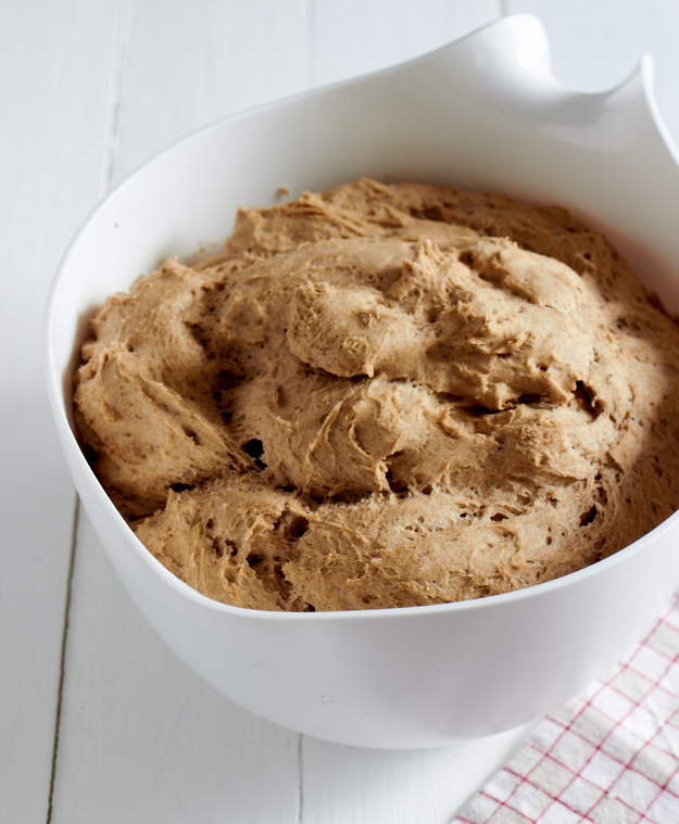 Sauerteigbrot Sauerteigbrot