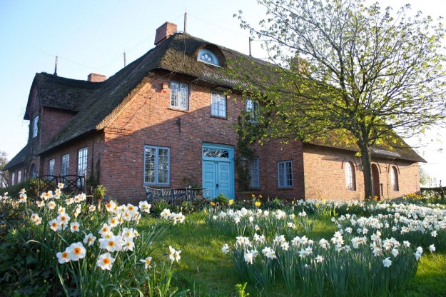 Narzissenfest Hof Hilligenbohl