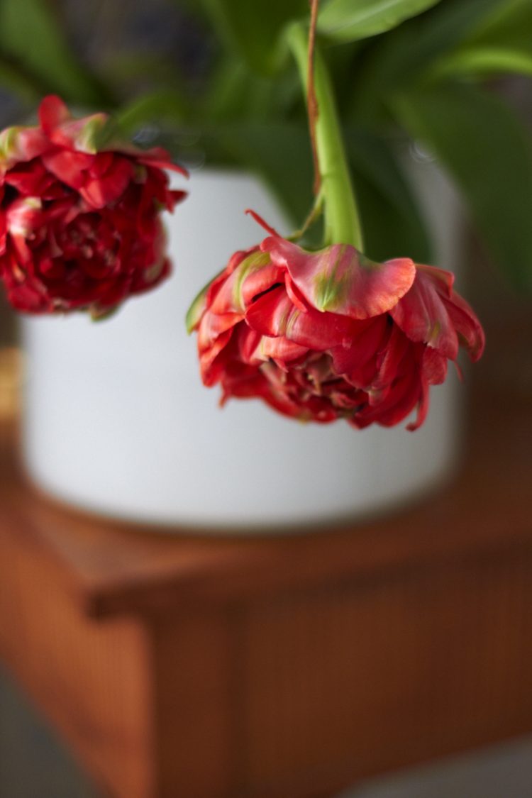 Ostern auf Hof Hilligenbohl