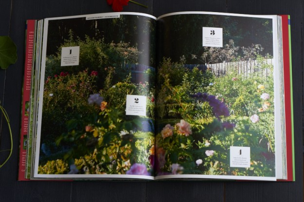 Büchermittwoch – ein Gartenbuch! | tastesheriff
