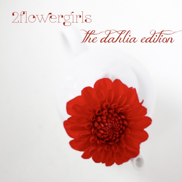 2flowergirls dahlia dahlie