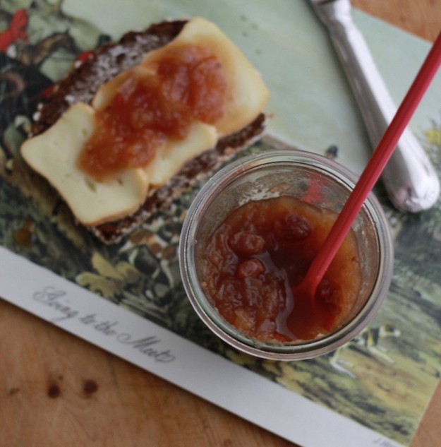 Das Rezept von Tastesheriff f&uuml;r ein Apfelchutney wie es die britisches Royals essen. Passt perfekt zu K&auml;sebrot und anderen herzhaften Leckereien. Lasst es euch schmecken!