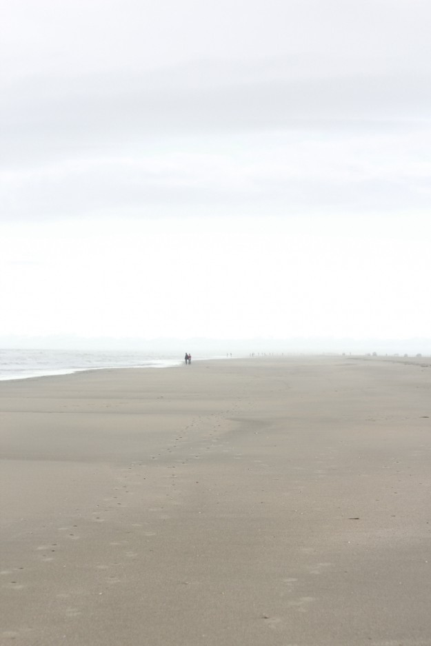 Tag an der See tastesheriff