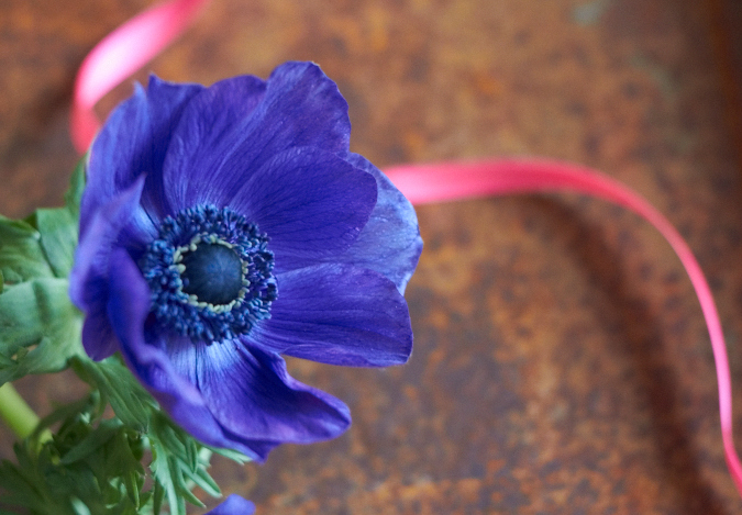 anemonen 2flowergirls