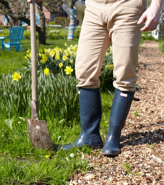 narzissenfest tastesheriff