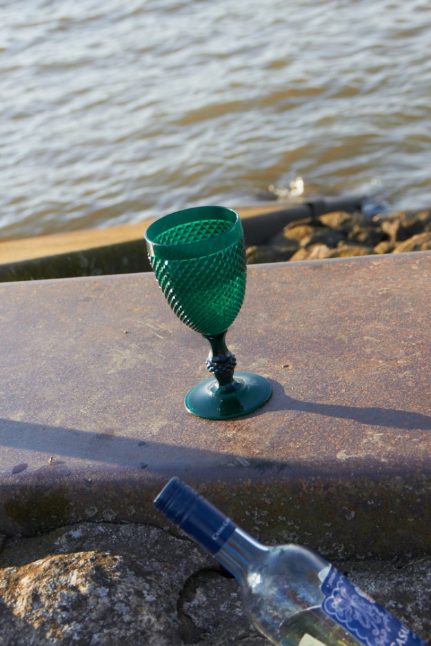 Datenight - Picknick an der Elbe
