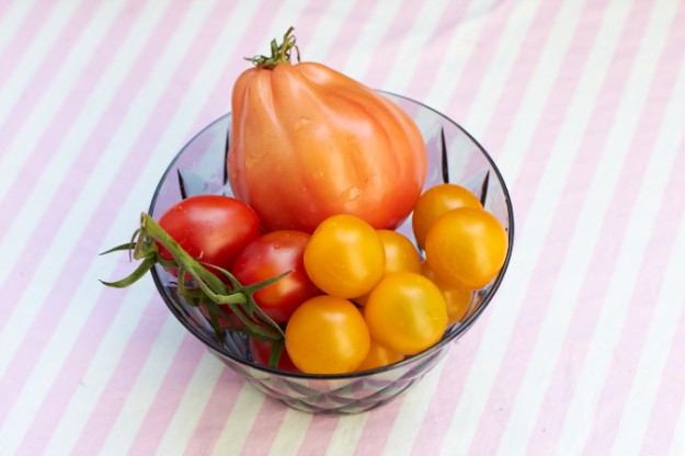 Tomatensalat tastesheriff unterschiedliche Tomaten 