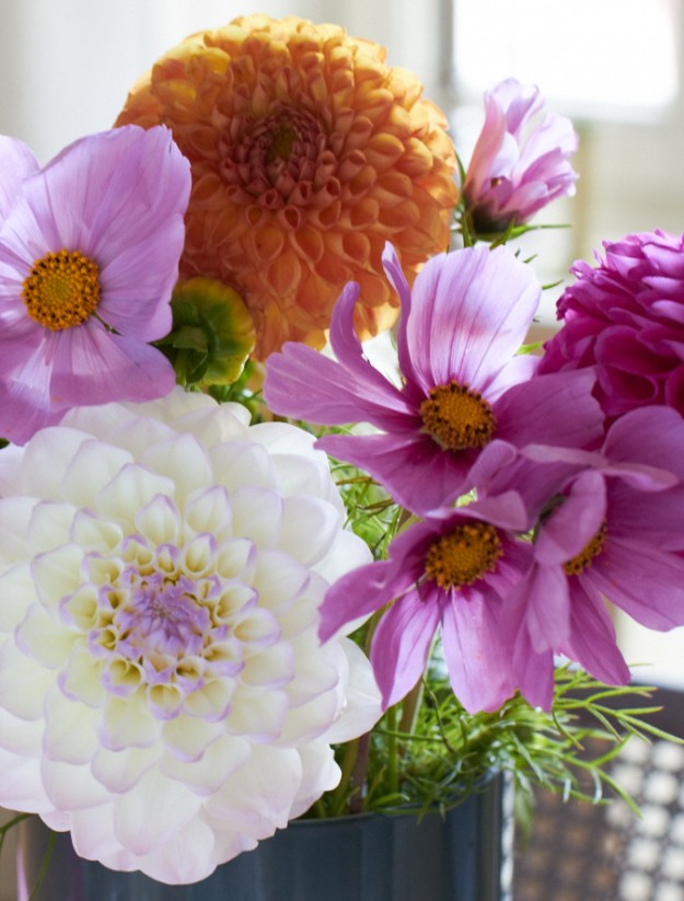 #2flowergirls https://www.tastesheriff.com/