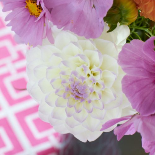 #2flowergirls https://www.tastesheriff.com/