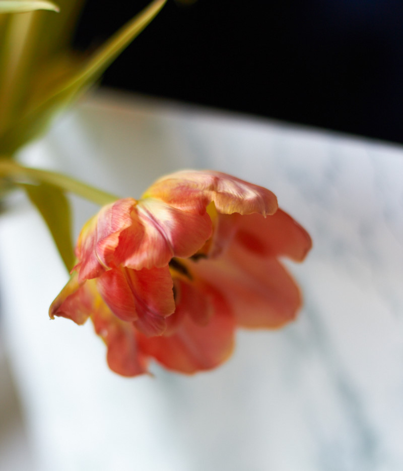 Ich hab Euch nach Onlineshopping Tipps f&uuml;r kleinen Shops gefragt und Ihr habt geliefert! Hier gibts die &Uuml;bersicht durch alle Bereiche die das Herz begehrt.