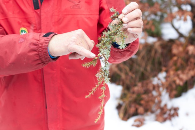 Tirol Winterzauber https://www.tastesheriff.com/