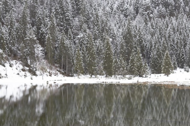 Tirol https://www.tastesheriff.com/