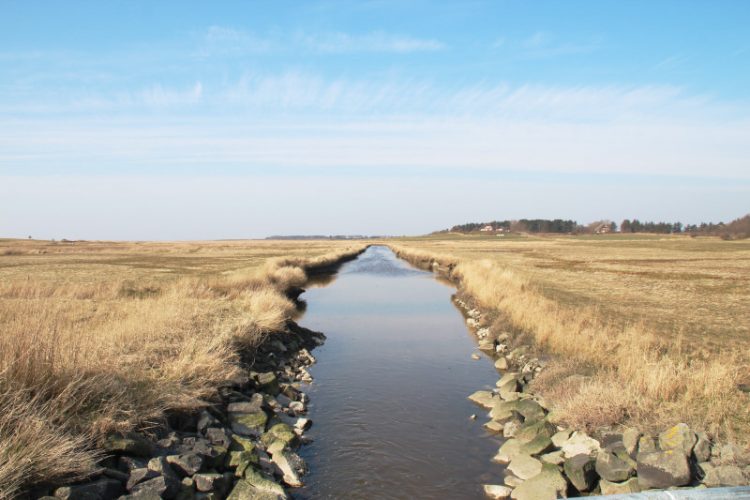 bucket list tastesheriff