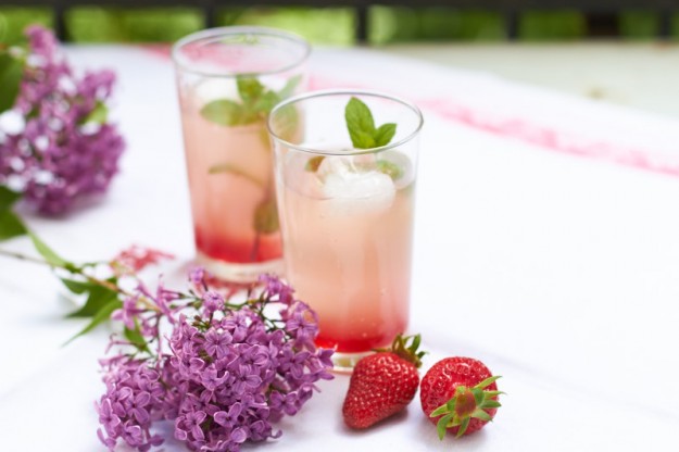 Der Geschmack von Kindheit und Sommer vereint in einem Glas. Der Sirup aus Erdbeeren und Rhabarber schmeckt ganz vorz&uuml;glich mit Mineralwasser aufgegossen.