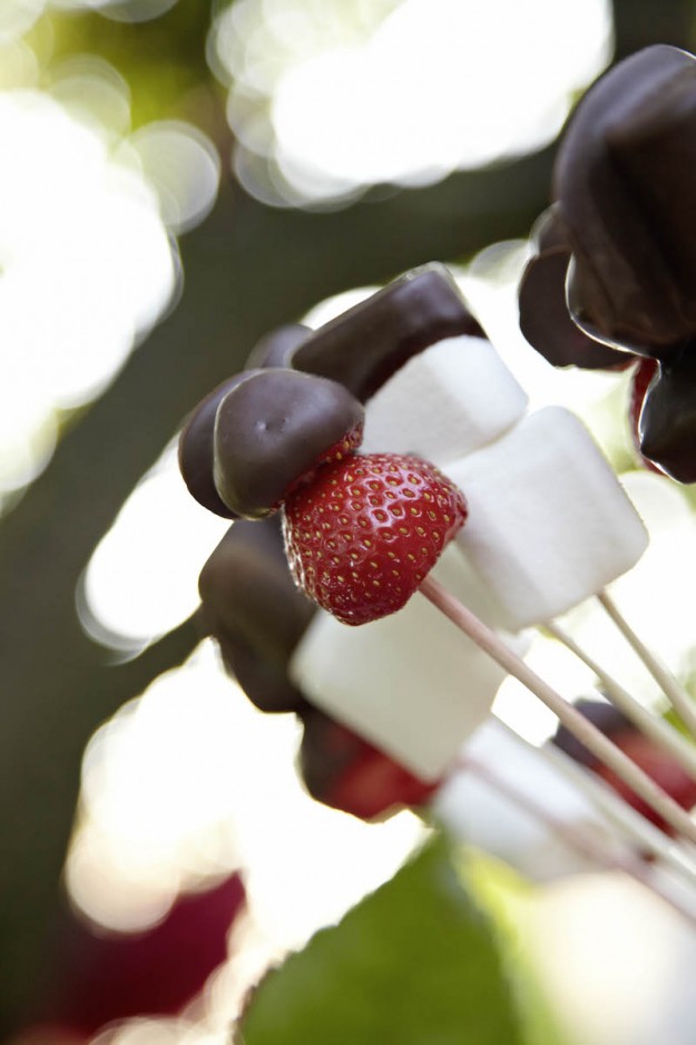 Schokoladen Marshmellows mit Erdbeeren tastesheriff.com