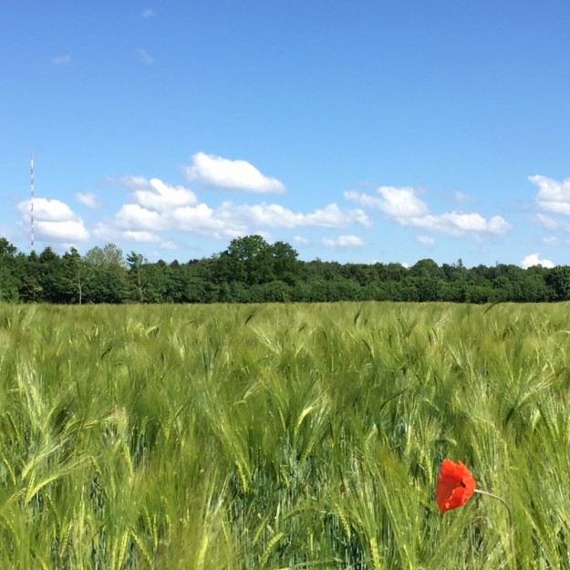 Gerolsteiner Wasserwoche #projektwasserwoche