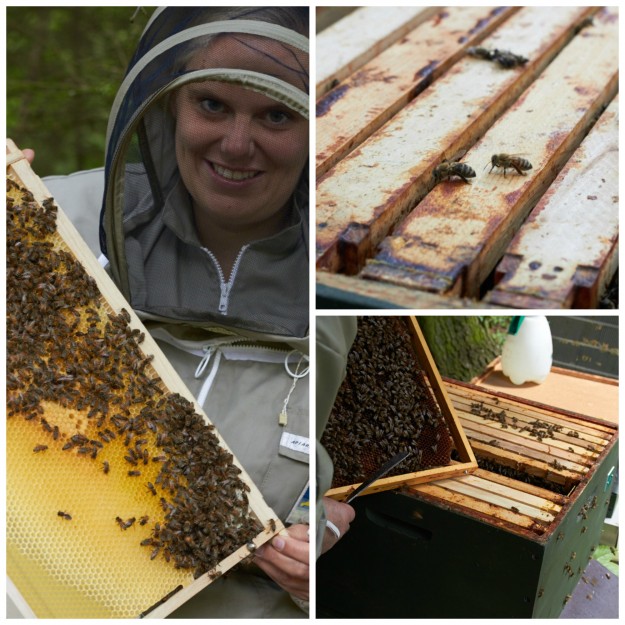 Bienenliebe Imkerausbildung tastesheriff.com