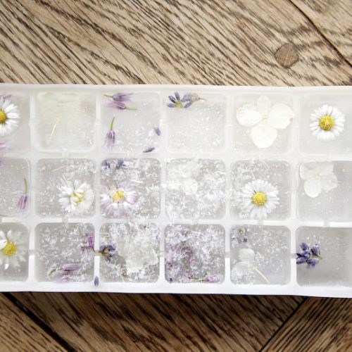 gefrorene Blüten https://www.tastesheriff.com/ Foto: Christian Burmester
