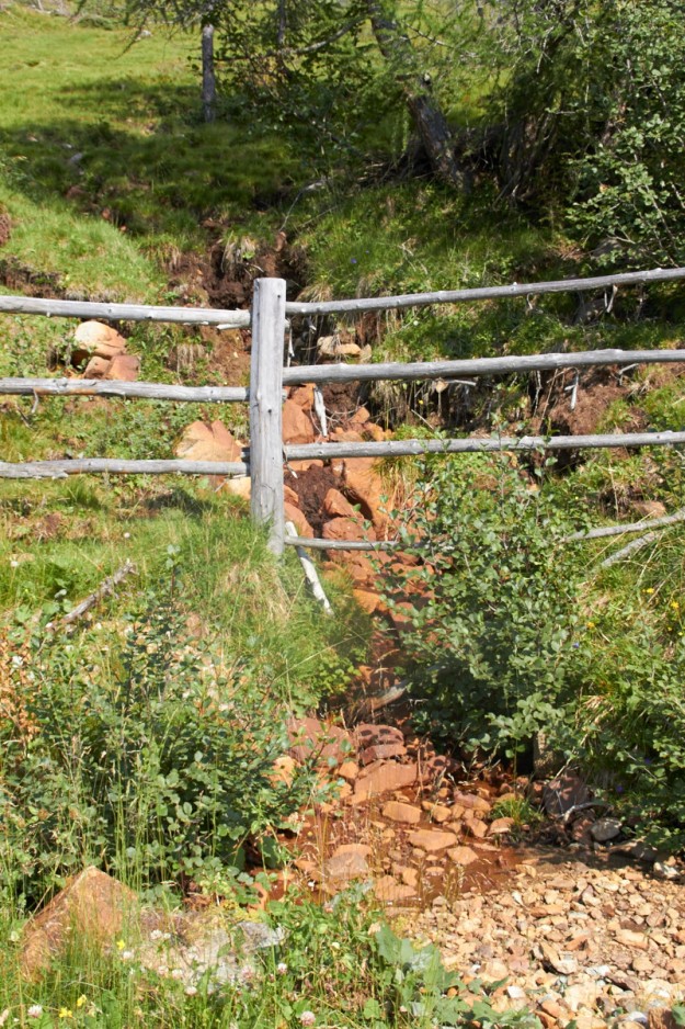 Suedtirol Wanderung zur Kreuzwiesenalm 