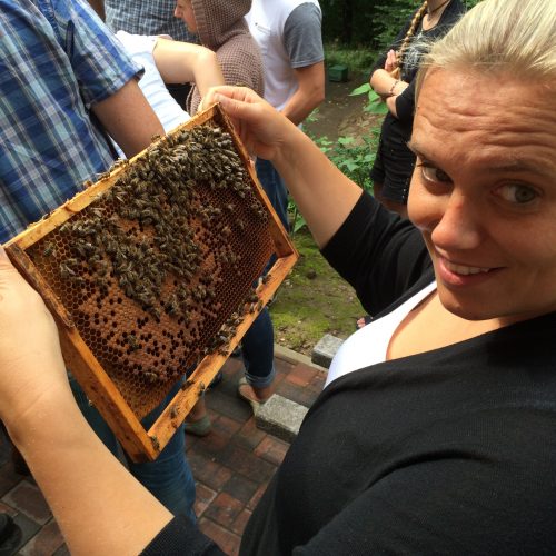 Bienenretter - Claretti macht eine Imkerausbildung in der Imkerschule Schleswig-Holstein