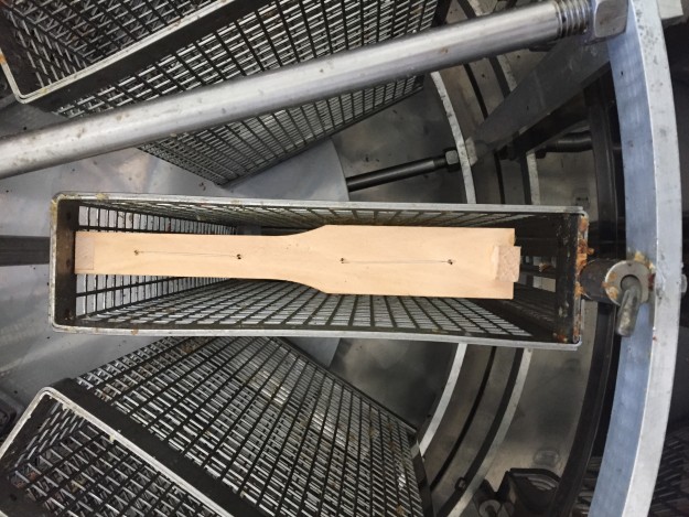 Bienenretter - Claretti macht eine Imkerausbildung in der Imkerschule Schleswig-Holstein