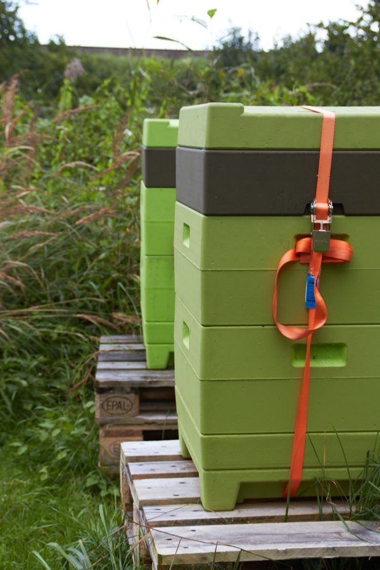 Imkerausbildung tastesheriff.com