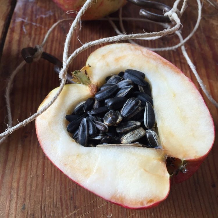 Vogelfutter Apfel tastesheriff.com