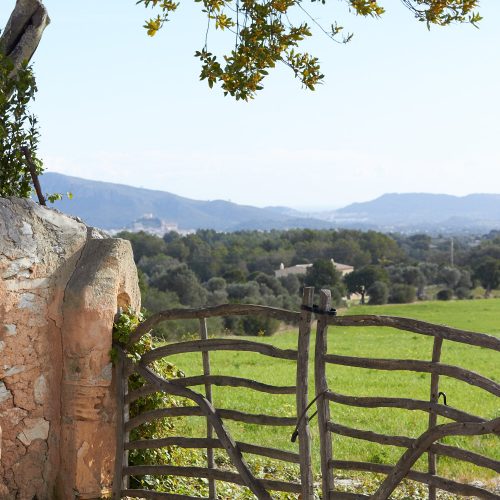 Mallorca Carrossa Arta Fincaurlaub mit der ganzen Familie