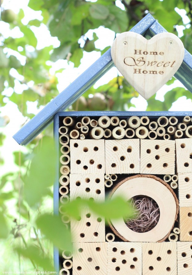 Blog des Monats Emmabee