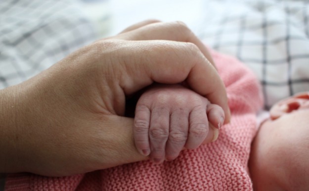 dreim&auml;delshaus tastesheriff.com