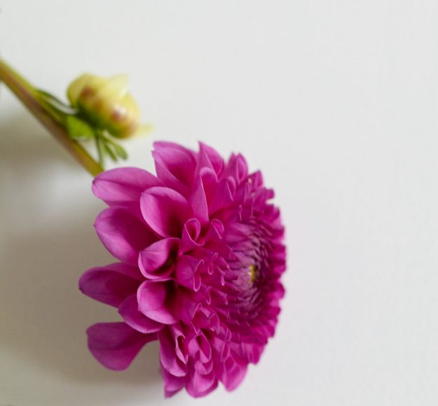 Ein neue #ichbacksmir Runde: ein Blitzgerezept f&uuml;r Quarkb&auml;llchen mit Schoko-Karamell-F&uuml;llung.