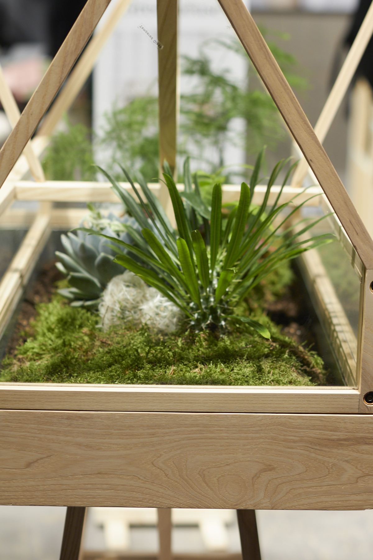 die imm cologne – und meine Leidenschaft für Möbel | tastesheriff