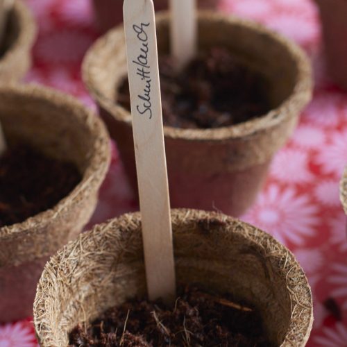 Mit dem Pflanzen Anzucht Set vom Gartenfräulein geht es jetzt in die Vorbereitung für den Garten und den Balkon, damit es erntefrische Kräuter zum kochen frisch aus eigenem Anbau gibt!