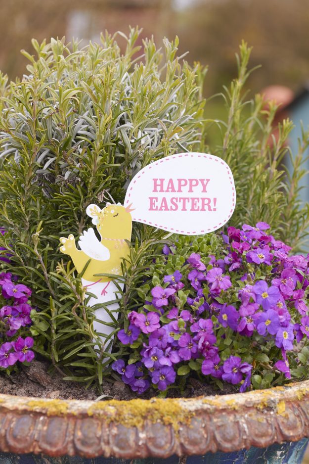 Frohe Ostern - happy Easter