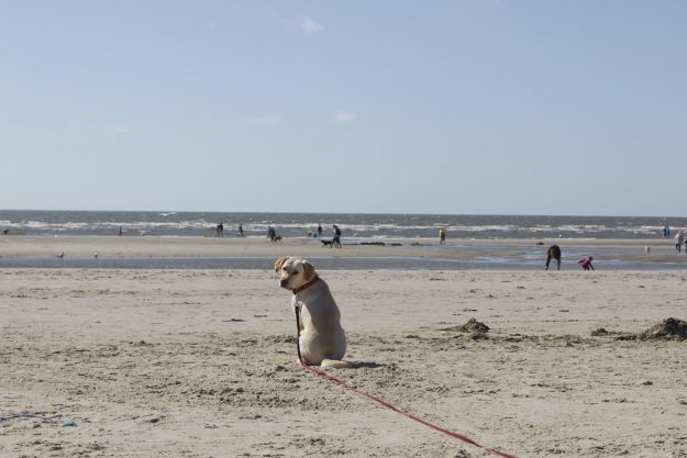 ein Tag am Meer! Was braucht man für einen Tagesausflug ans Meer? Hier findet Ihr meine Packliste! 