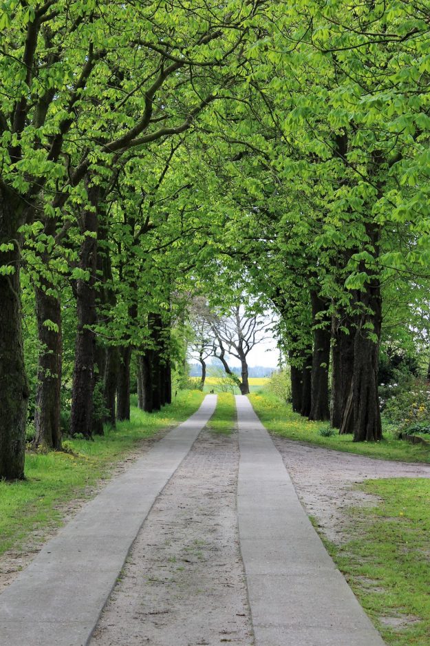 Deichdeern ist bei Tastesheriff zu Gast! Es wird nordfriesisch, nordfriesischer als es sowieso schon ist.