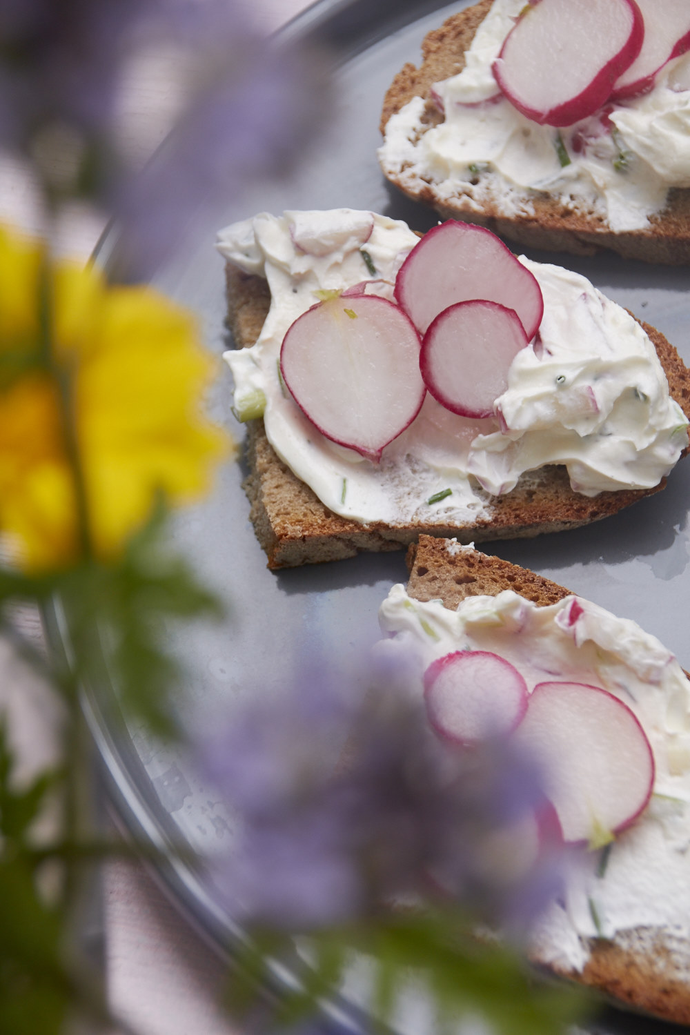 Radieschen-Frischkäse-Creme | tastesheriff