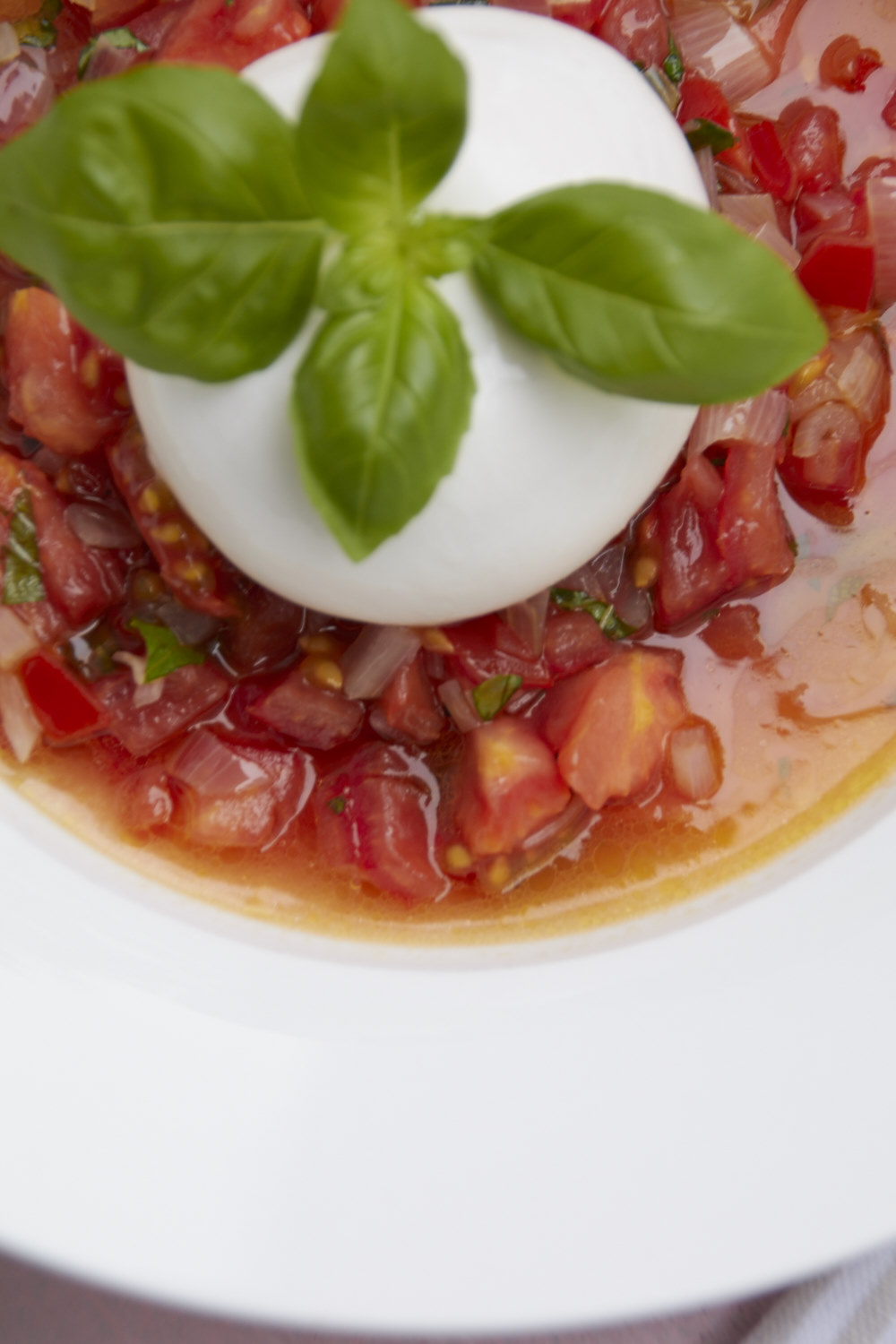 Burrata mit Tomaten Vinaigrette | tastesheriff