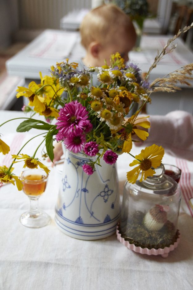 ein Wochenende in Mecklenburg - an der mecklenburgischen Seenplatte - Pfarrhof Stuer