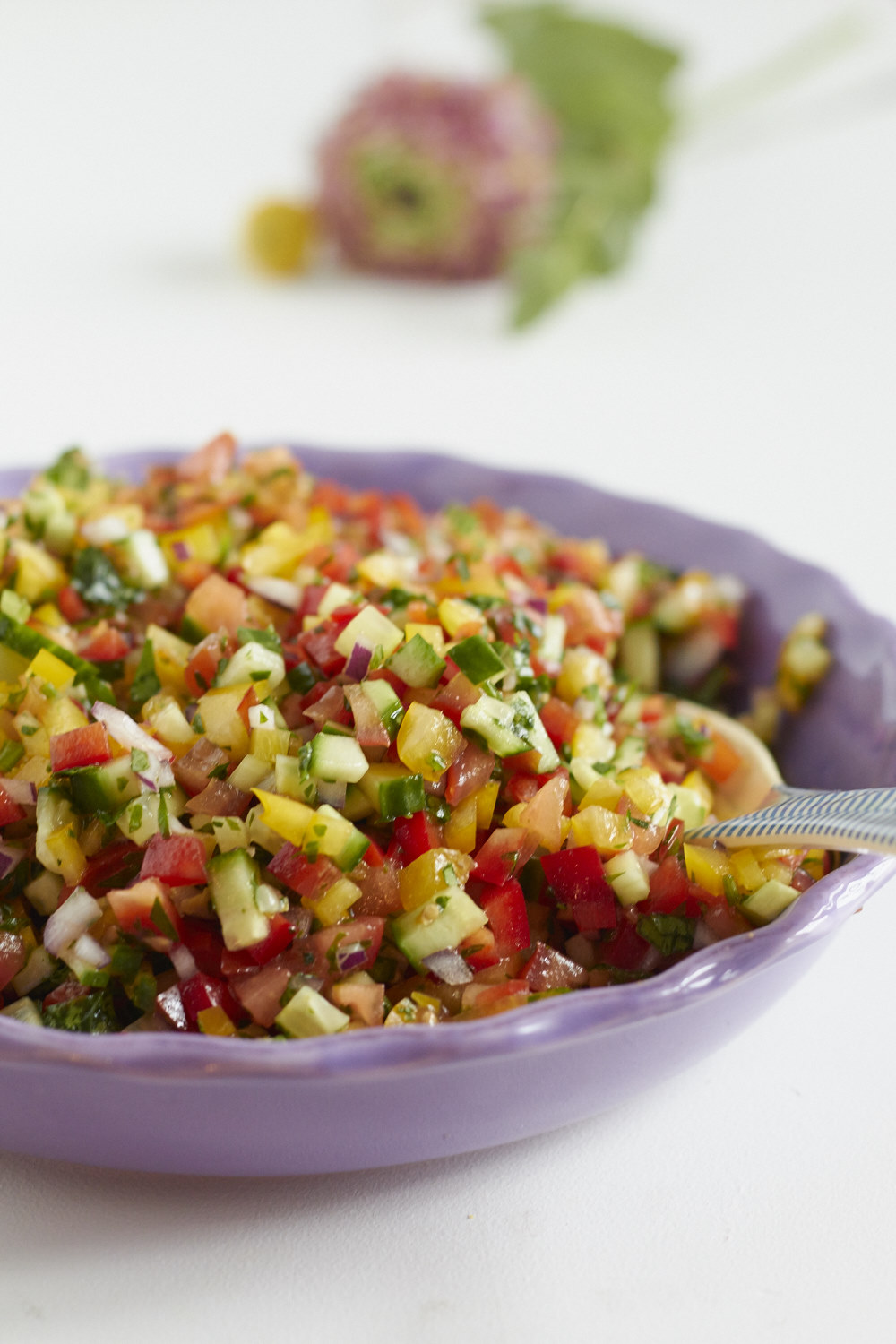 Frisch zubereitet und ganz schön bunt – ein israelischer Salat.