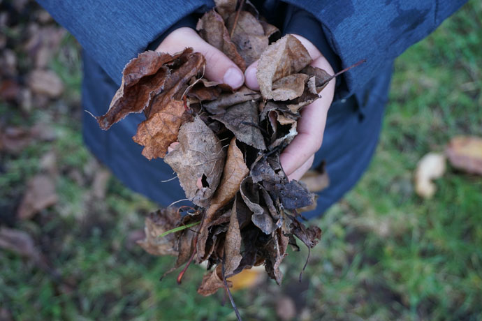 Blog des Monats ist Hauptstadtgarten aus Berlin. Freut Euch auf Gartenexperimente, Erfolge und Misserfolge und die vielen kleinen Freuden, die ihr Kleingarten bereit h&auml;lt.