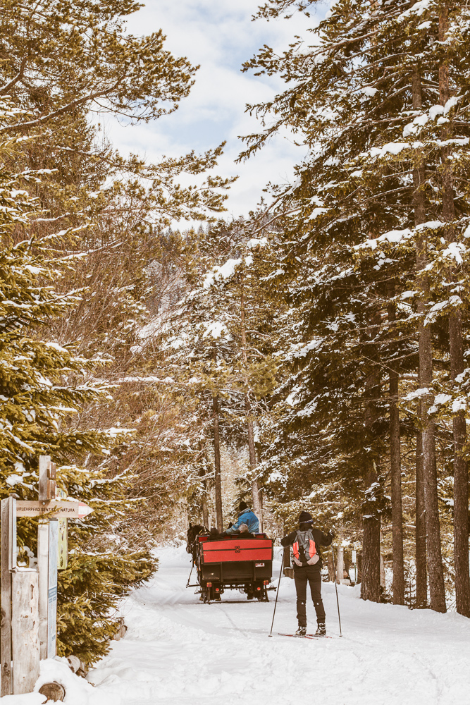 Urlaubsgr&uuml;&szlig;e aus dem Eisacktal und vom Waldharthof in S&uuml;dtirol: Super leckerer alpiner Burger mit Apfel-Chutney. Und die &Auml;pfel sind quasi direkt vom Berg! Mit regionalen Zutaten, f&uuml;r alle die die Berge vermissen.
