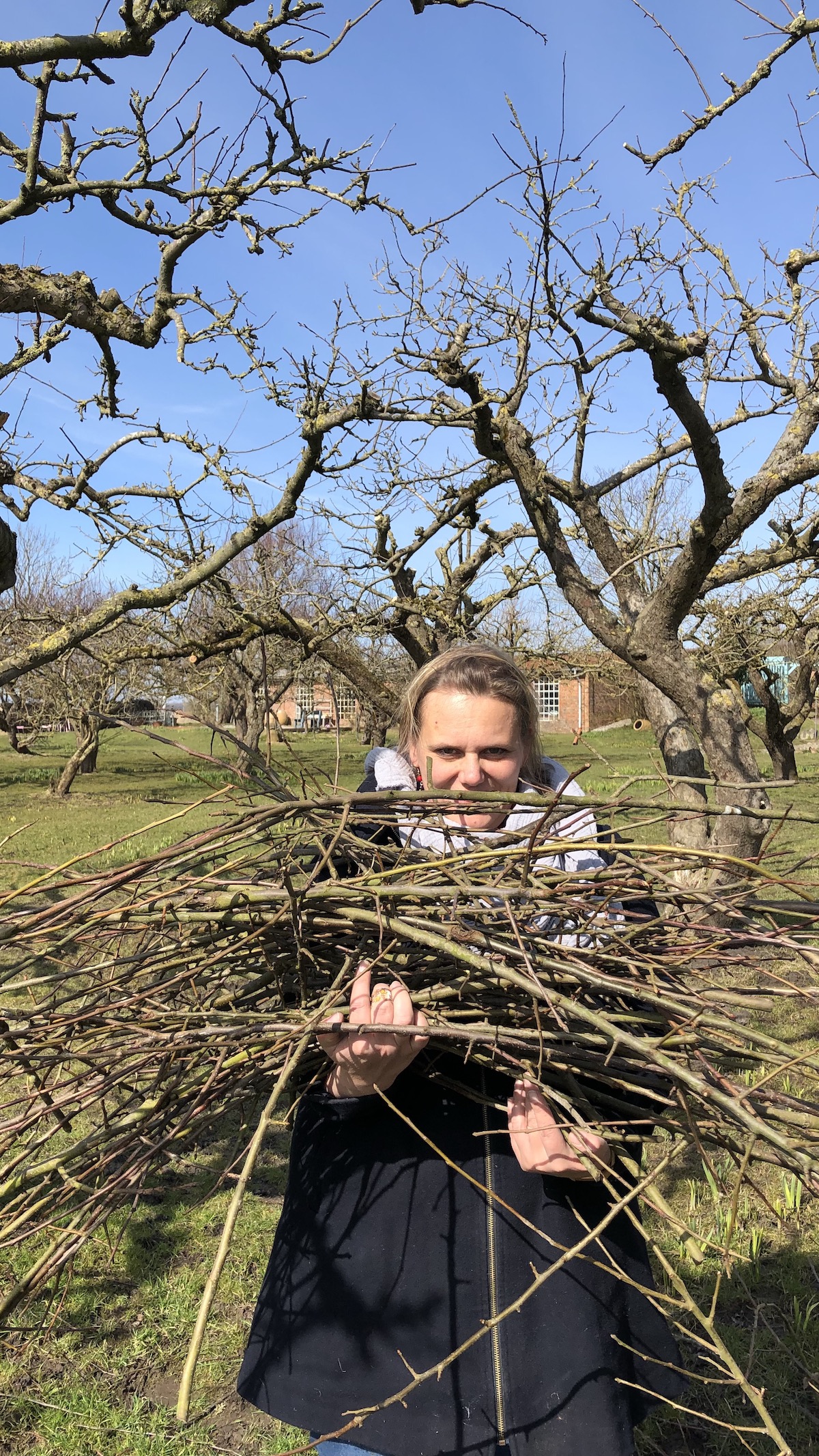clara moring - fuenf fragen am fuenften