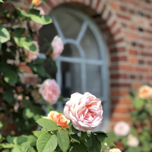 Fünf Fragen am Fünften - tastesheriff