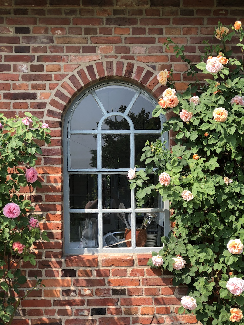 Fünf Fragen am Fünften - tastesheriff