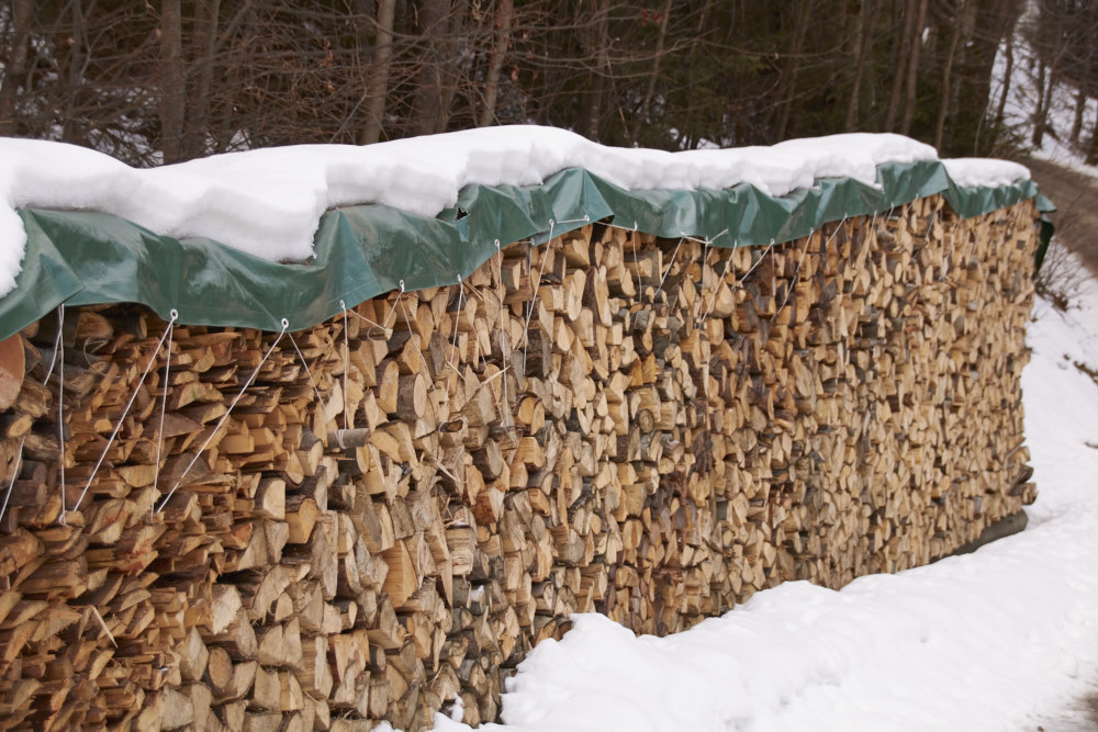 Fernweh - Urlaub im Niederthaler Hof 