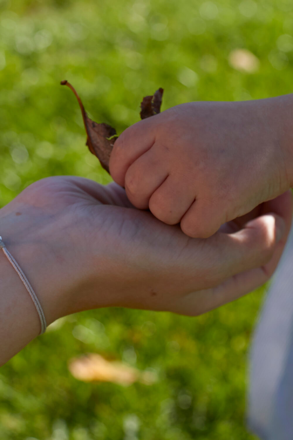 Bingo spielen im Garten - Eine Beschäftigung mit und für Kinder. Jetzt auf dem Blog downloaden!