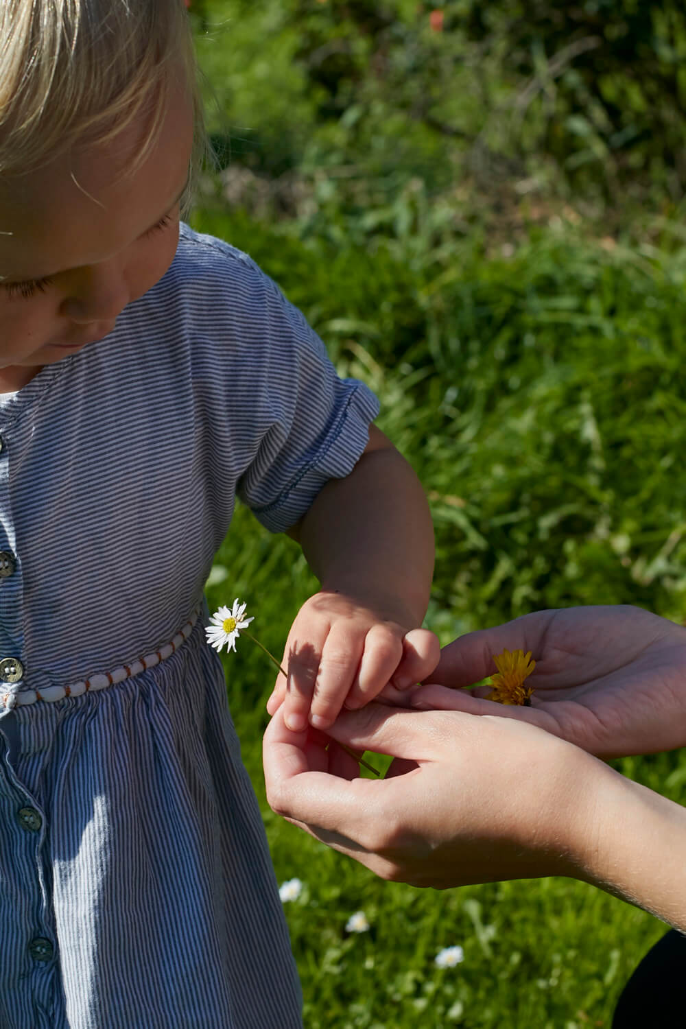 Bingo spielen im Garten - Eine Beschäftigung mit und für Kinder. Jetzt auf dem Blog downloaden!