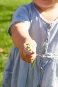 Bingo spielen im Garten - Eine Besch&auml;ftigung mit und f&uuml;r Kinder. Jetzt auf dem Blog downloaden!